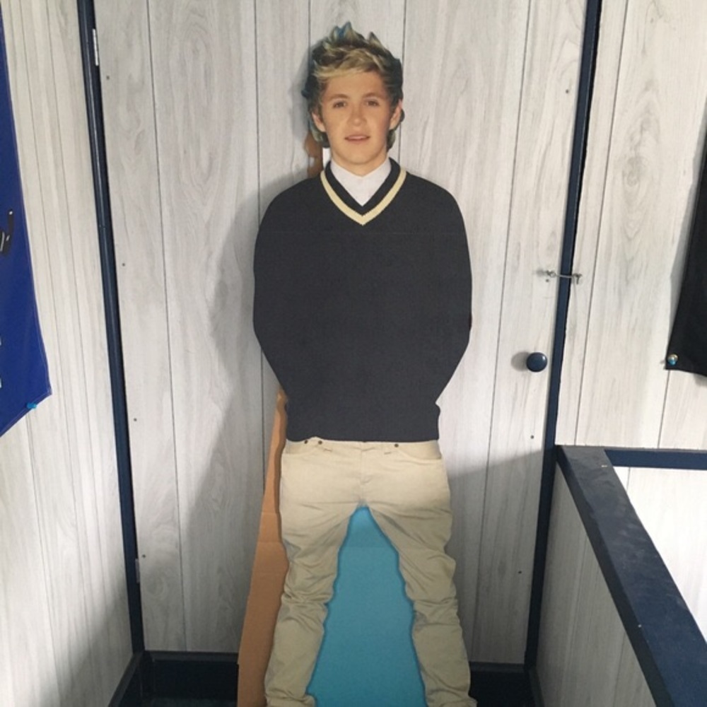 Full Size Niall Horan Cutout